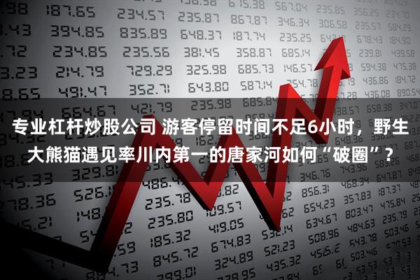 专业杠杆炒股公司 游客停留时间不足6小时，野生大熊猫遇见率川内第一的唐家河如何“破圈”？