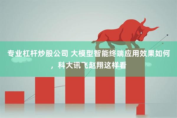 专业杠杆炒股公司 大模型智能终端应用效果如何，科大讯飞赵翔这样看