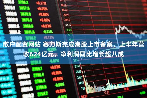 散户配资网站 赛力斯完成港股上市备案，上半年营收624亿元，净利润同比增长超八成